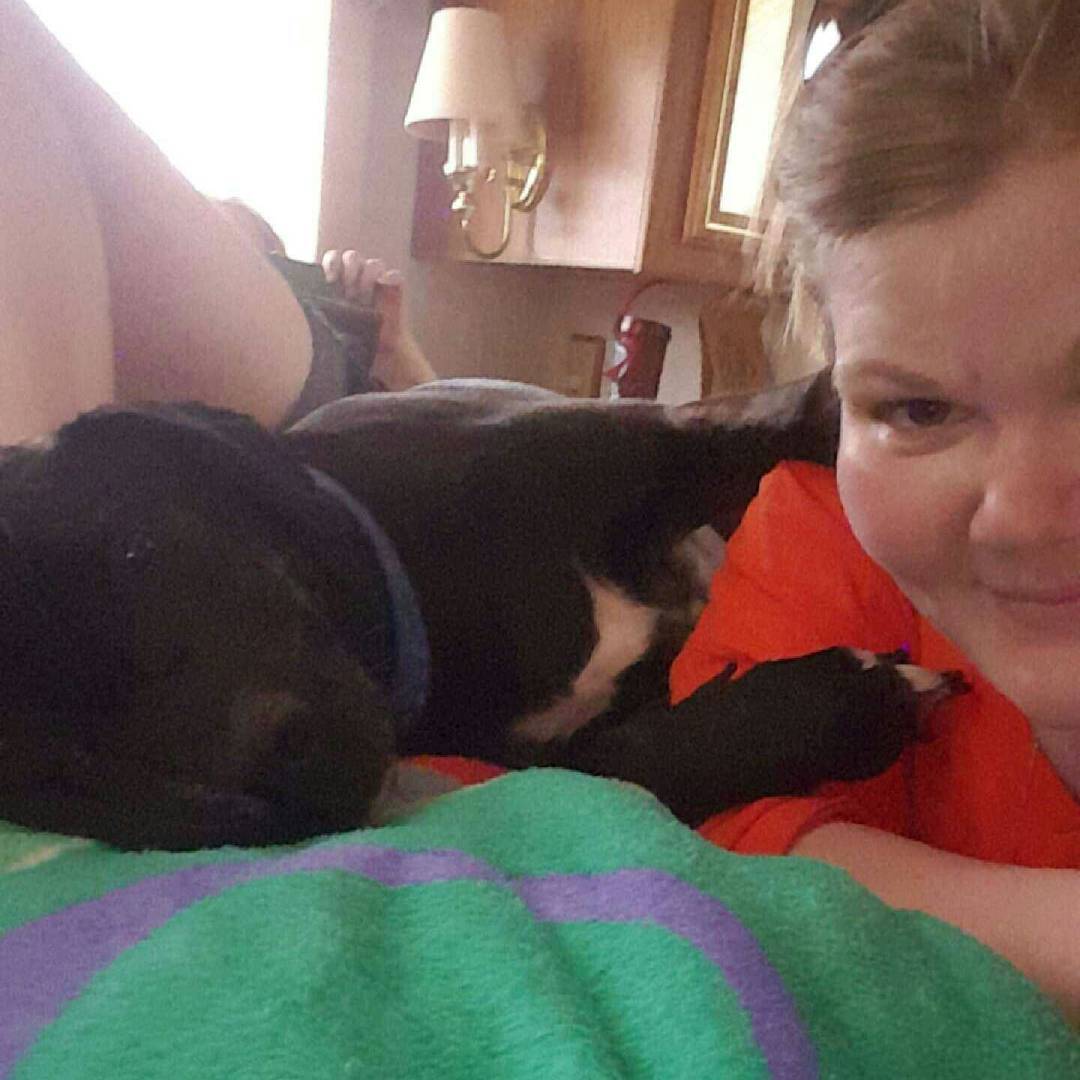 Celebrate National Dog Day in Hershey The Sweetest Place On Earth