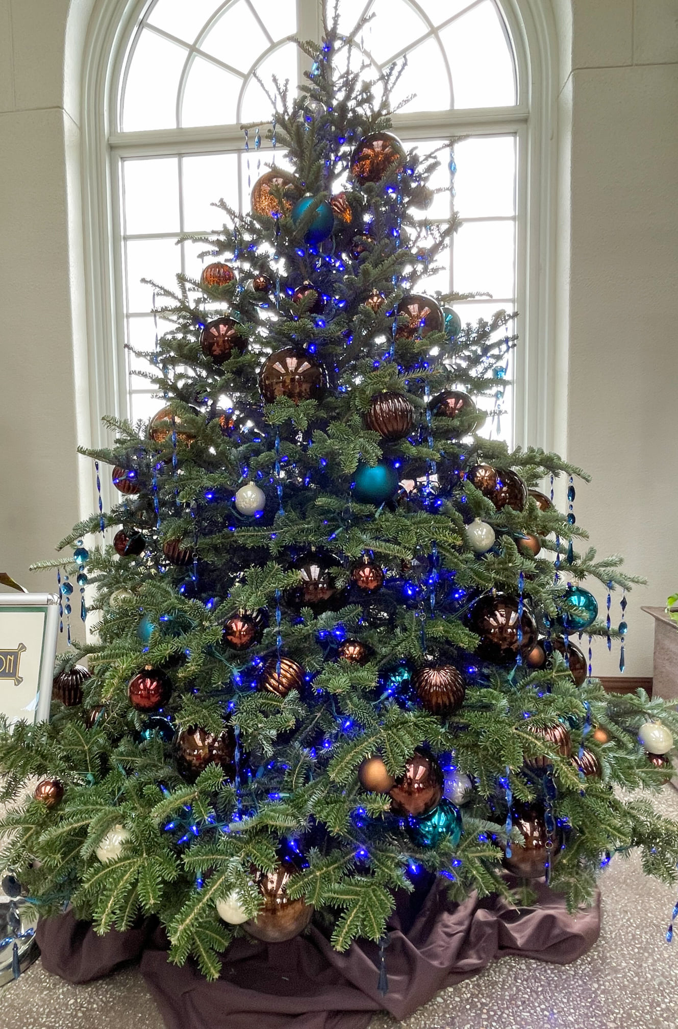 Where to See Trees in Hershey for National Christmas Tree Day