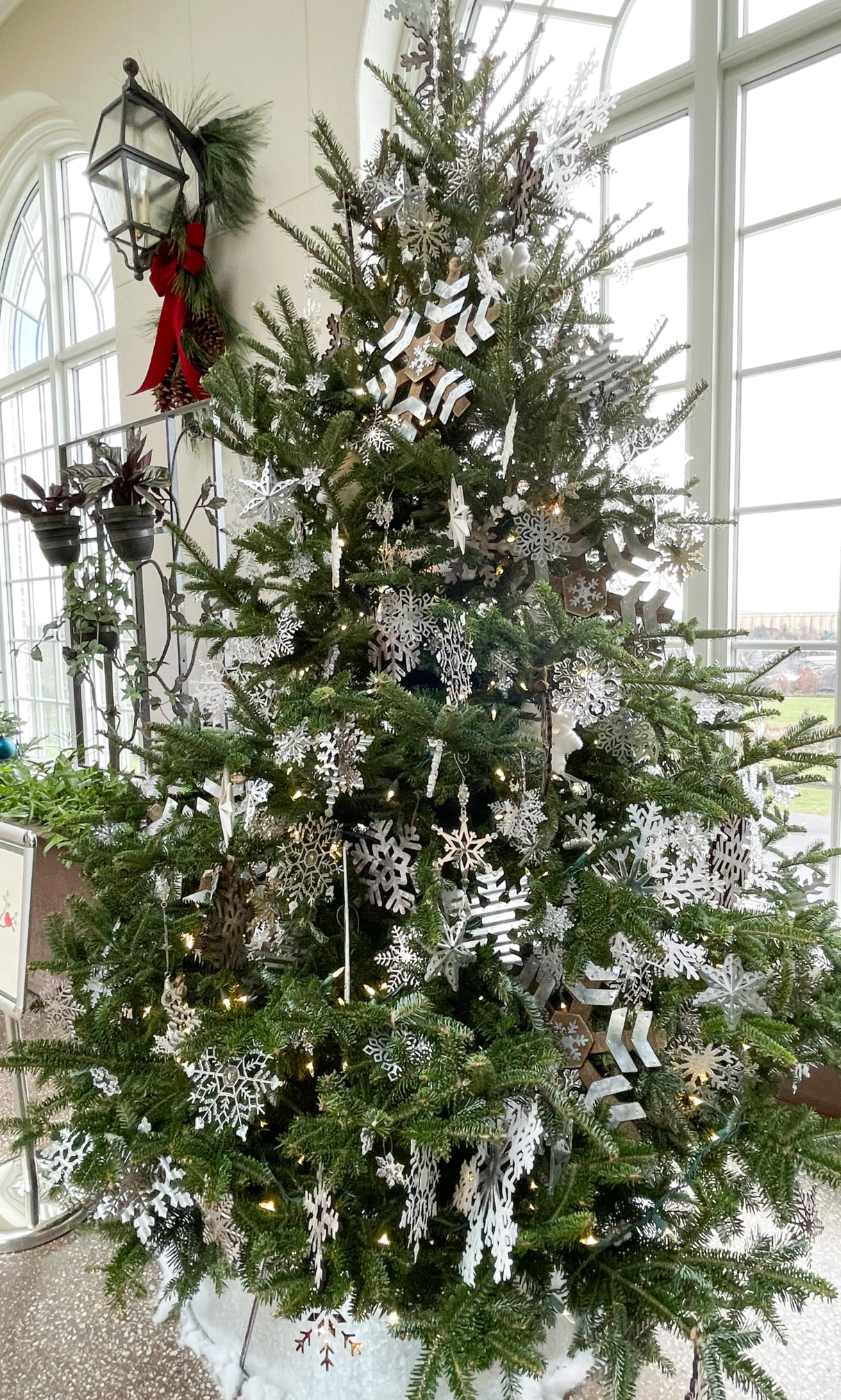 Where to See Trees in Hershey for National Christmas Tree Day