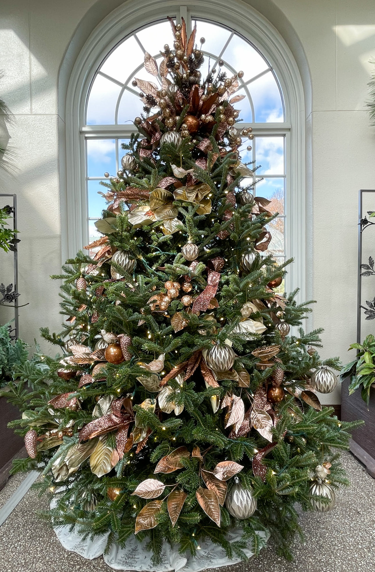 Where to See Trees in Hershey for National Christmas Tree Day