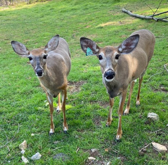 Start a Reservation visual data 8