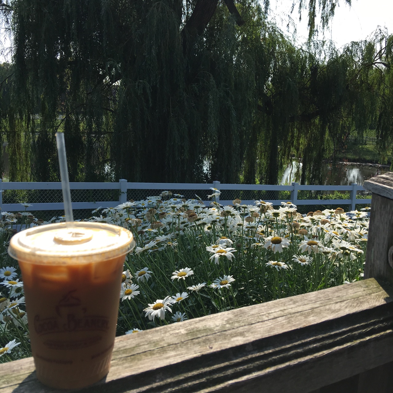 Celebrate National Coffee Day at a Cocoa Beanery in Hershey, PA