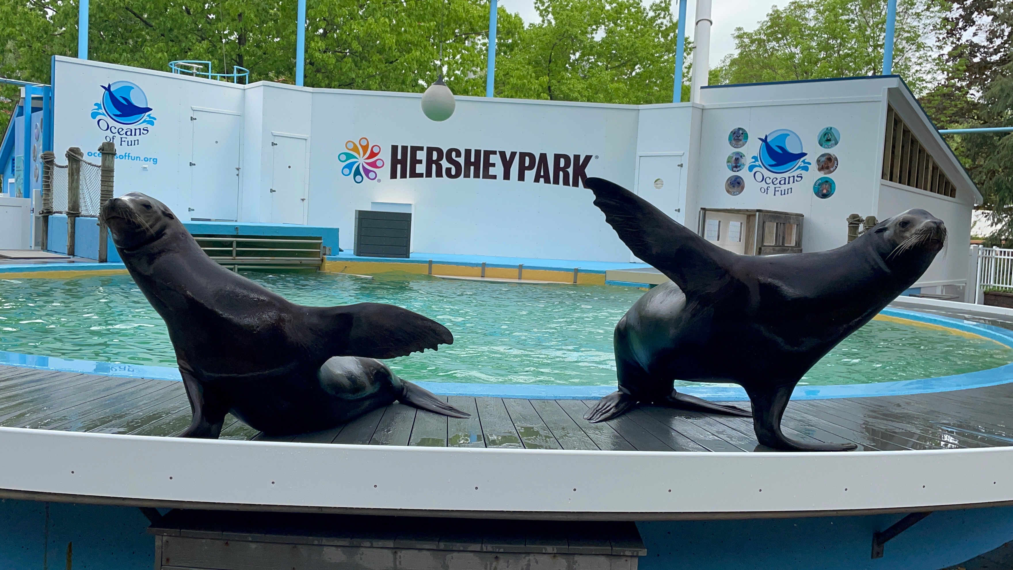 Hershey Park Ticket Prices - 5bfsco9