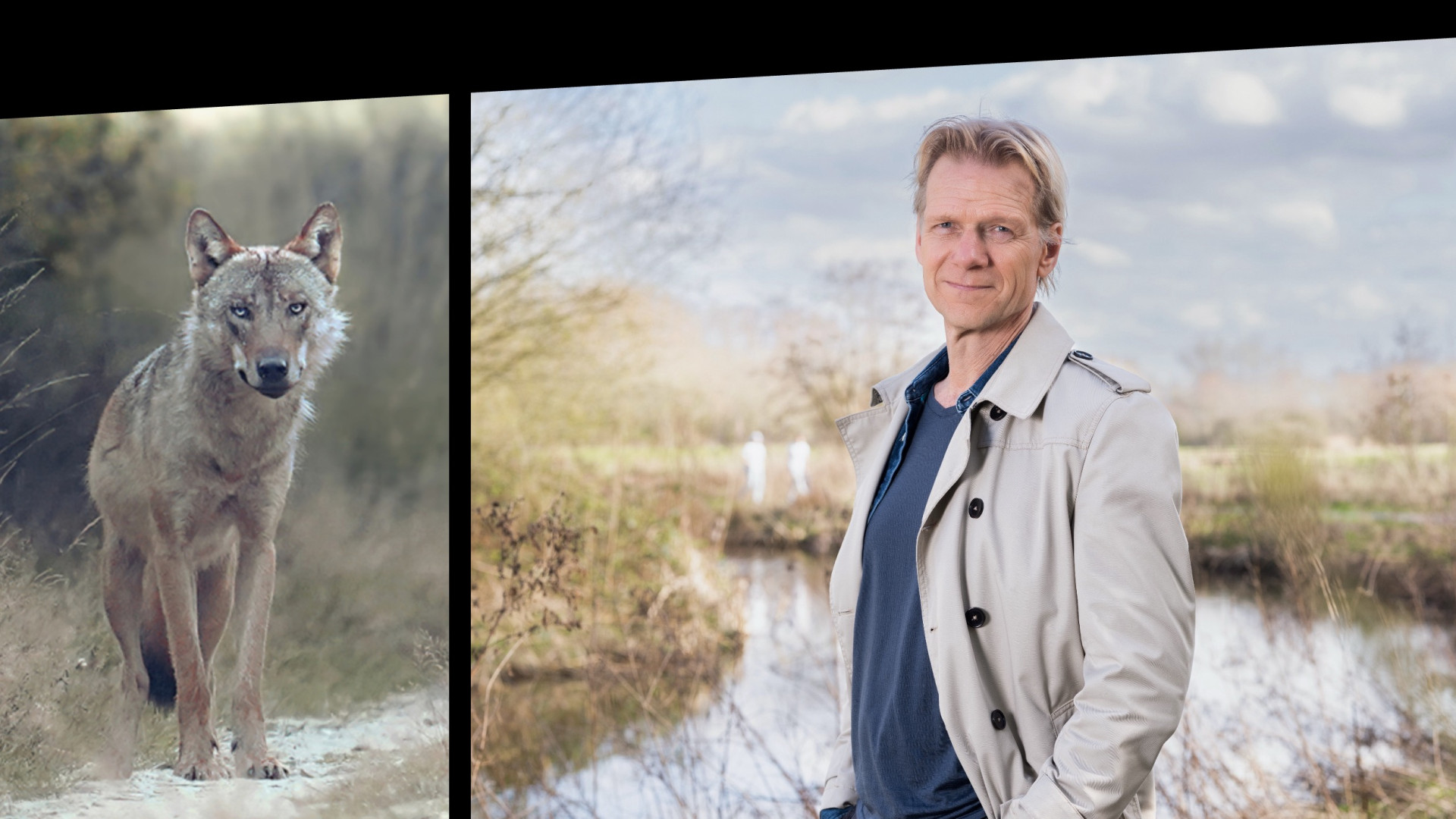 MENNO BENTVELD OOG IN OOG MET ROEDEL WOLVEN
