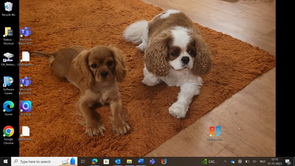 Honden