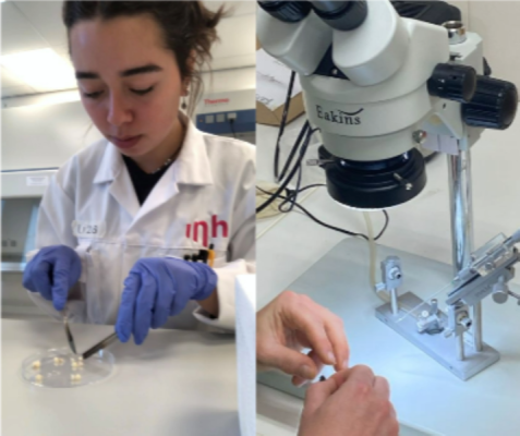 'Met Biotechnologie ligt de wereld voor je open’