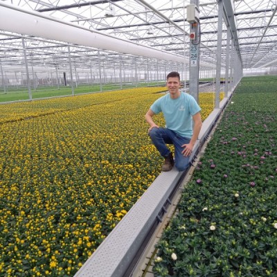 Associate degree Tuinbouwmanagement: een stap verder zetten binnen de tuinbouwsector