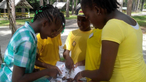 Red het Surinaamse Bos: Duurzame oplossingen voor hout en goud