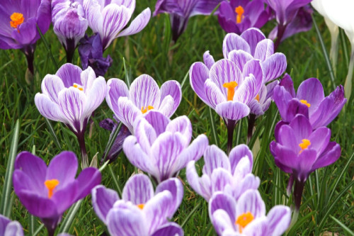 Lectoraat Empowerment & Professionalisering