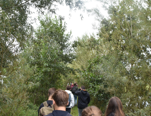 Duurzame ideeën voor de polder