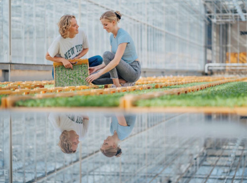 Hogescholen en telers starten project voor weerbaar telen