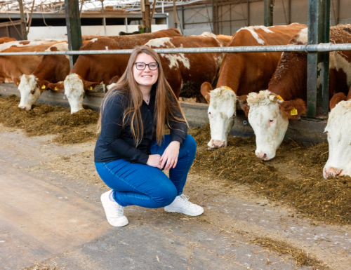 Dier in de Duurzame Samenleving studenten aan het werk