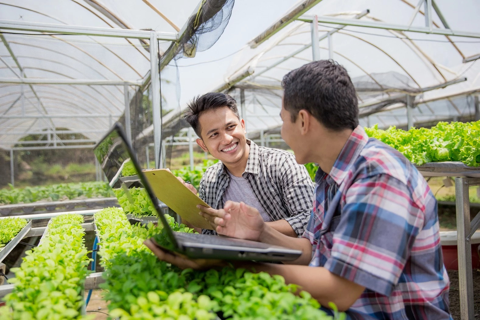 agri-en-voeding
