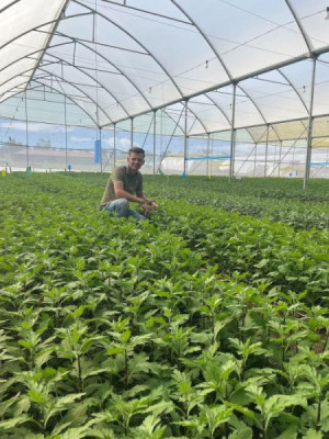 Van tuinbouwstudent naar internationale expert