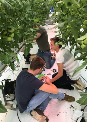 Ideal Research Greenhouse Lab van start in World Horti Center