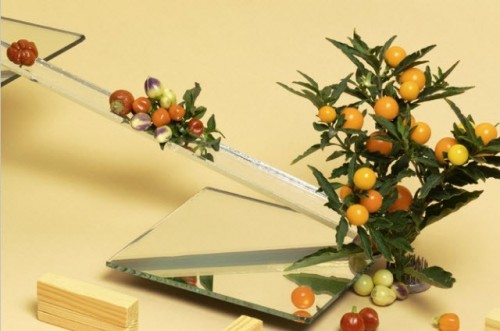 Onderzoekers Agri, Food & Life Sciences maken ‘goud zichtbaar’