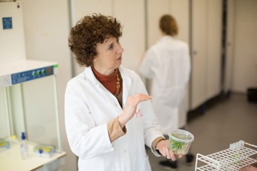 ‘De sky is the limit met Crispr-Cas’ 