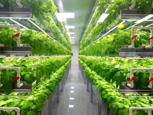 Proef vertical farming database gelanceerd