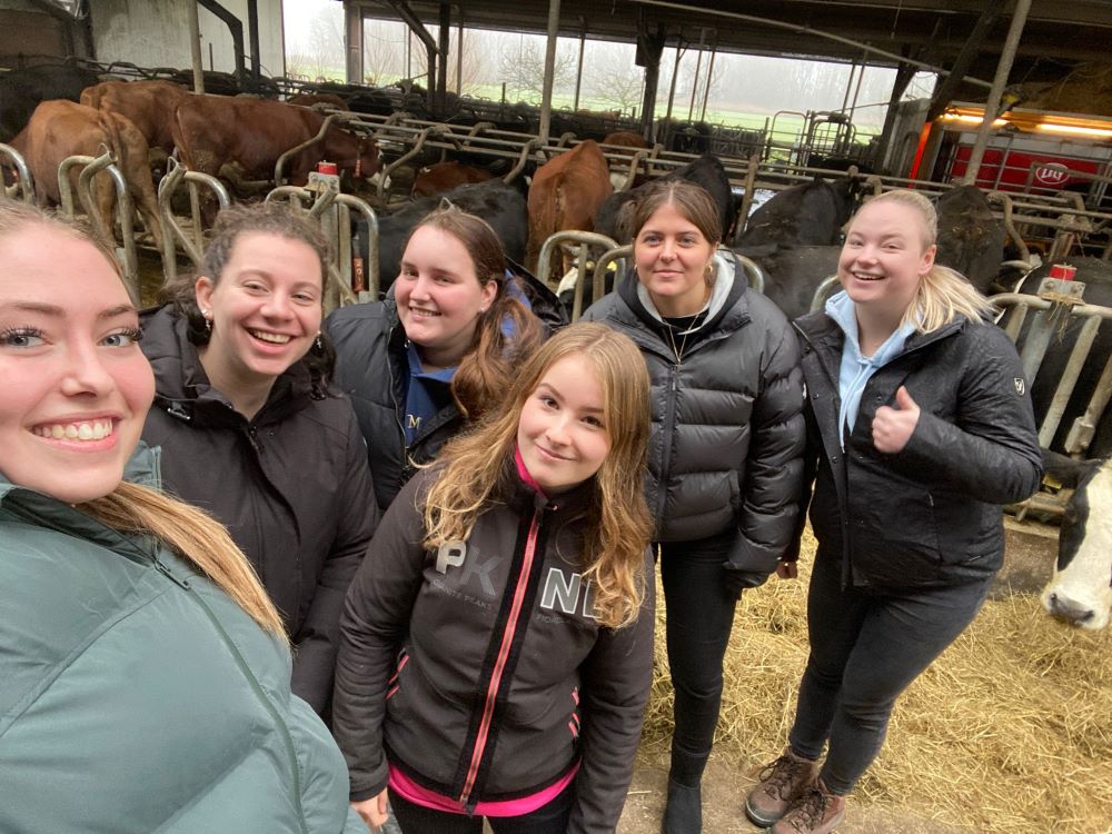 ‘Je leert over de relatie tussen mensen en dieren’
