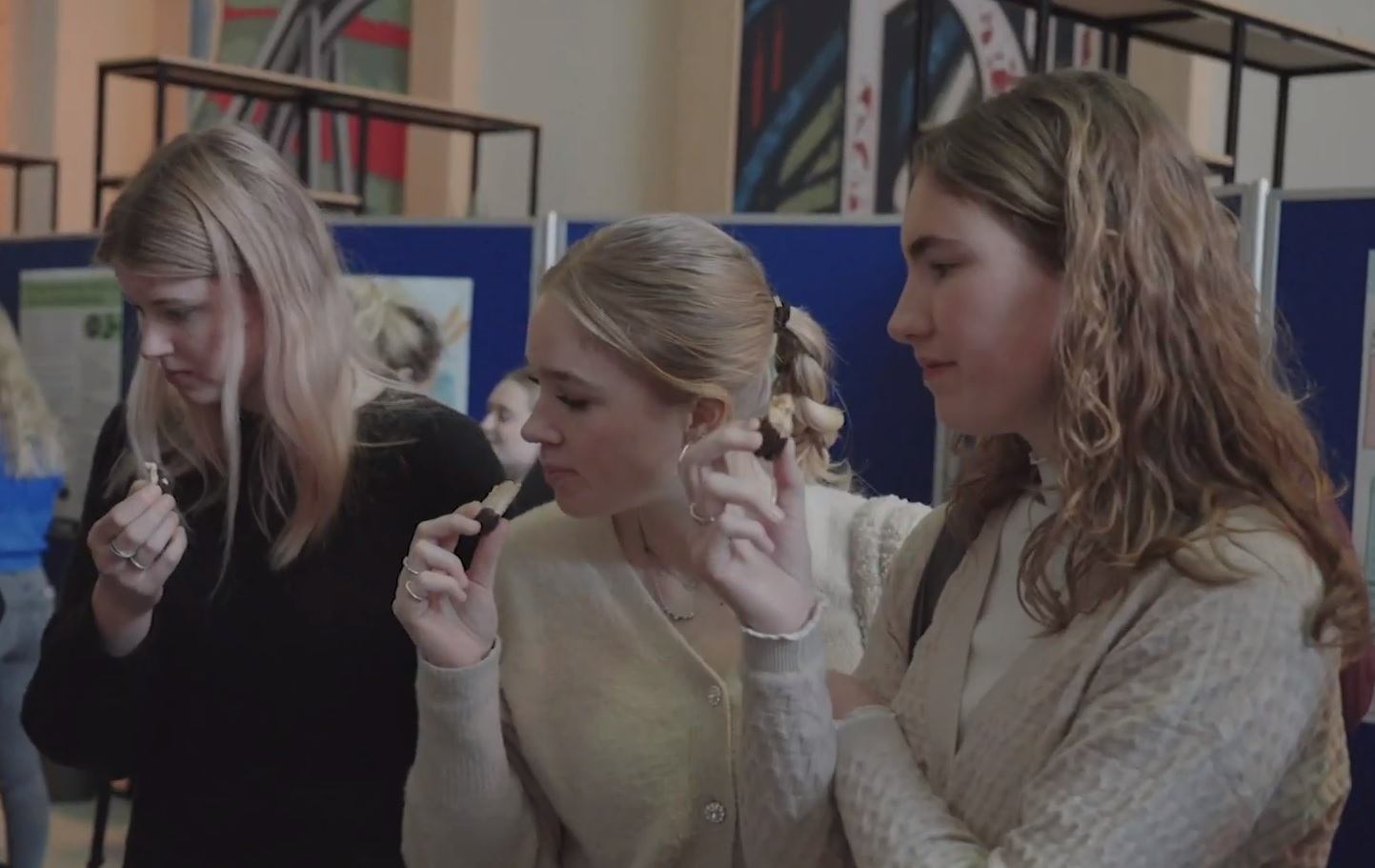 Wicked Problems aflevering 2