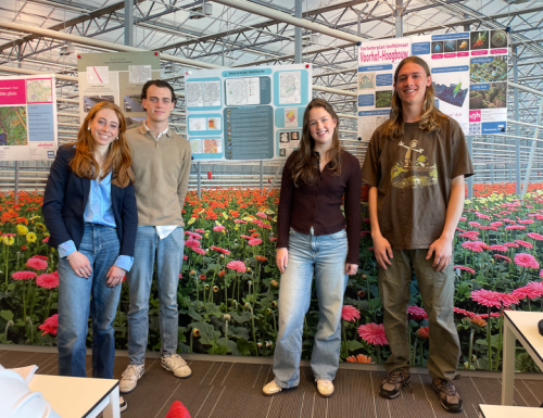 Koeler Delft nu en in de toekomst