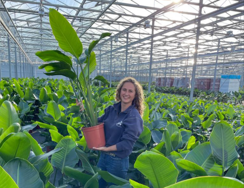 Tuinbouw & Agribusiness studenten aan het werk