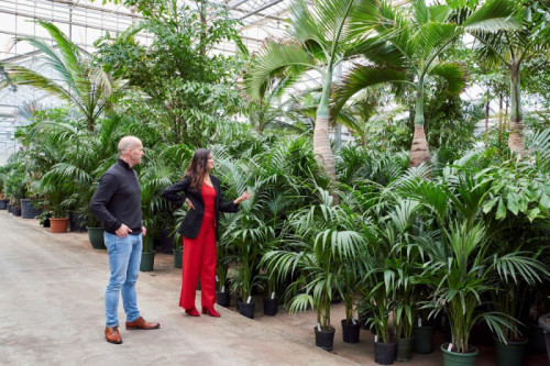 Een dag als directeur