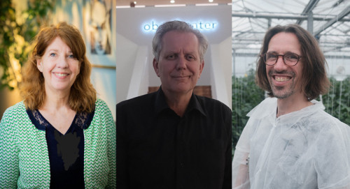 Wij Inholland awards 2025–2026 – Wie wordt Onderzoeker van het jaar?