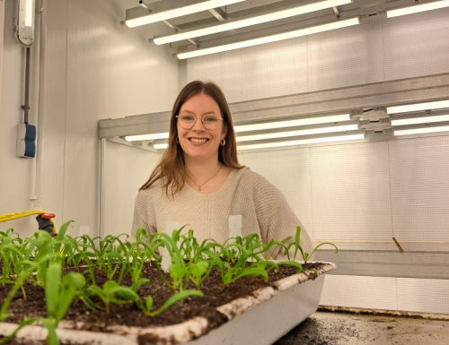 Tuinbouw & Agribusiness studenten aan het werk