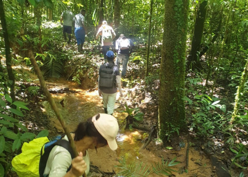 Duurzame living labs van start in Suriname en Caribisch Nederland