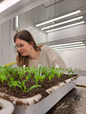 Tuinbouw & Agribusiness studenten aan het werk