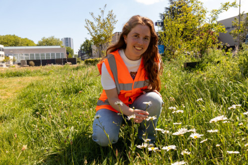 Landscape and Environment Management studenten aan het werk