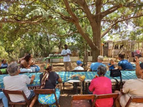 Meer lokaal voedsel op de Caribische eilanden: op weg naar zelfvoorziening