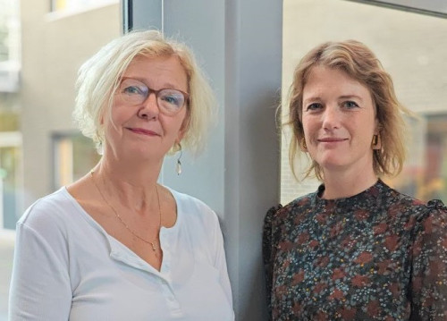 Integratie Lesson Study en onderzoekend vermogen in het onderwijs