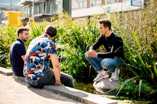 Hogescholen starten onderzoek naar klimaatadaptieve, biodiverse, leefbare en gezonde steden