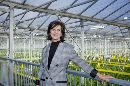 Inholland onderzoekt: oog voor emoties essentieel voor succesvolle bedrijfsovername