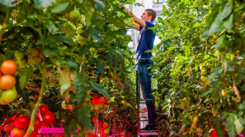 Groene hogescholen verlengen samenwerking in praktijkgericht onderzoek