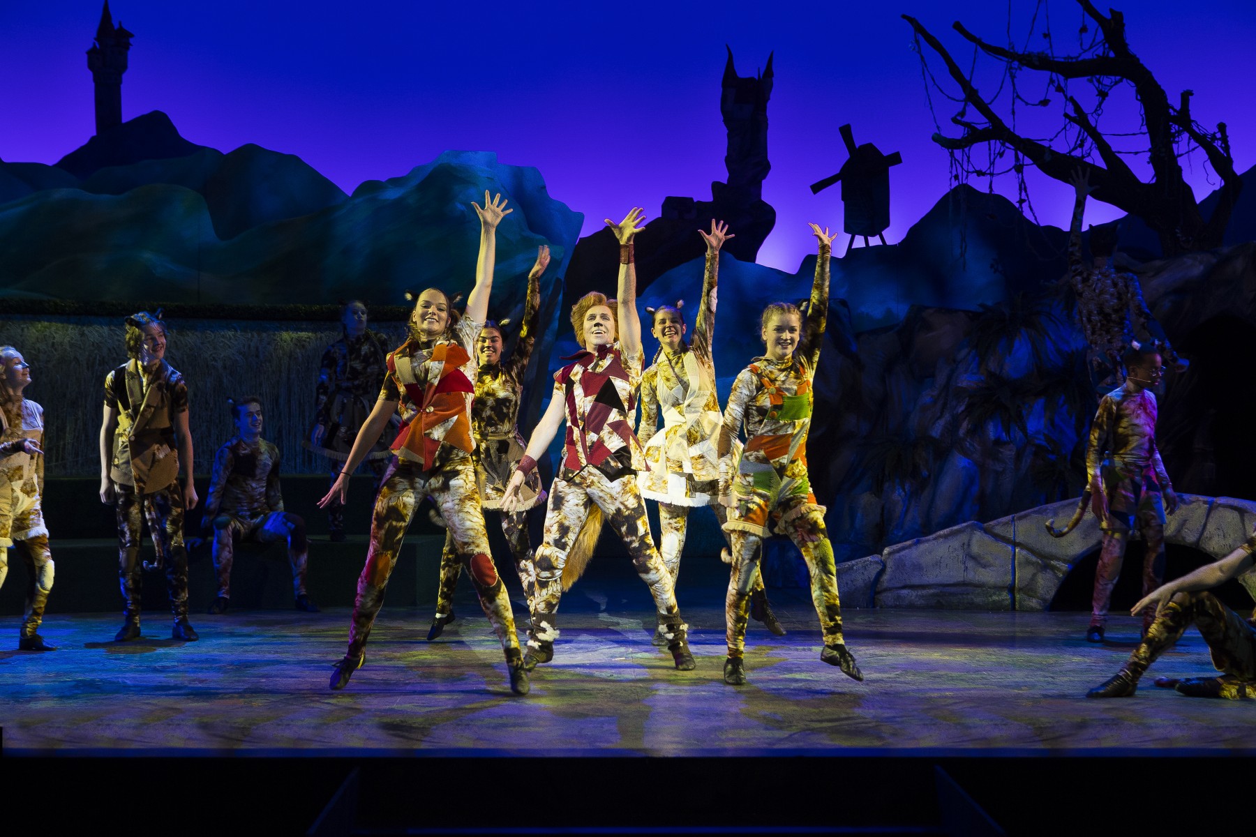 De gelaarsde Kat - sc&egrave;nefoto