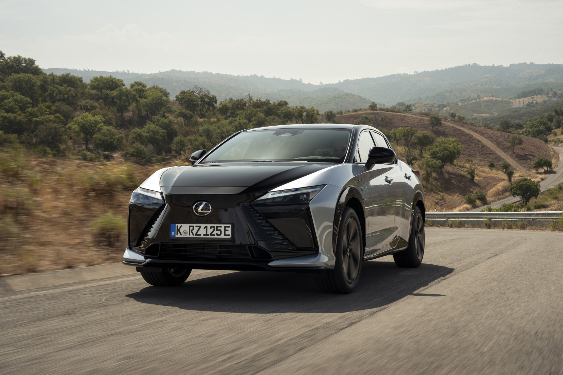 2025 RZ Sonic Platinum Dynamic
