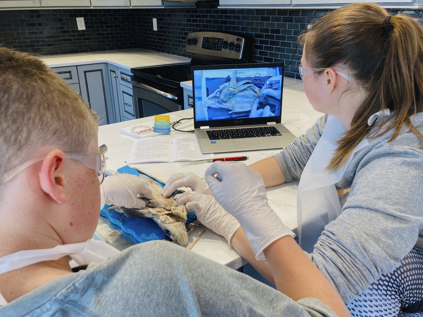 OSF Jump Simulation Adds STEAM to AtHome Learning