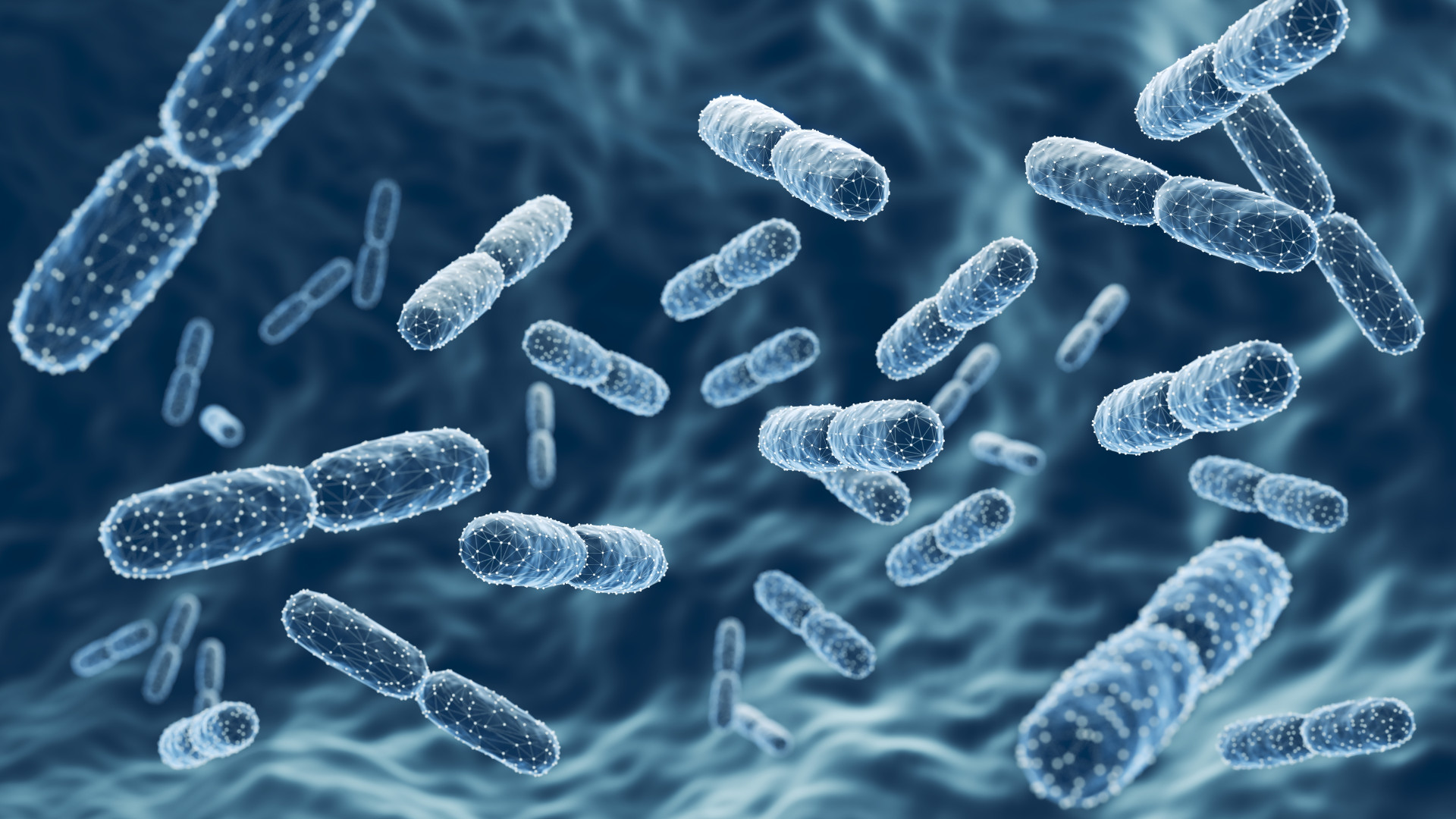 Gut bacteria’s role in colon cancer