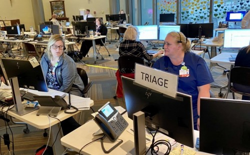 Pandemic Digital Hub - triage 2