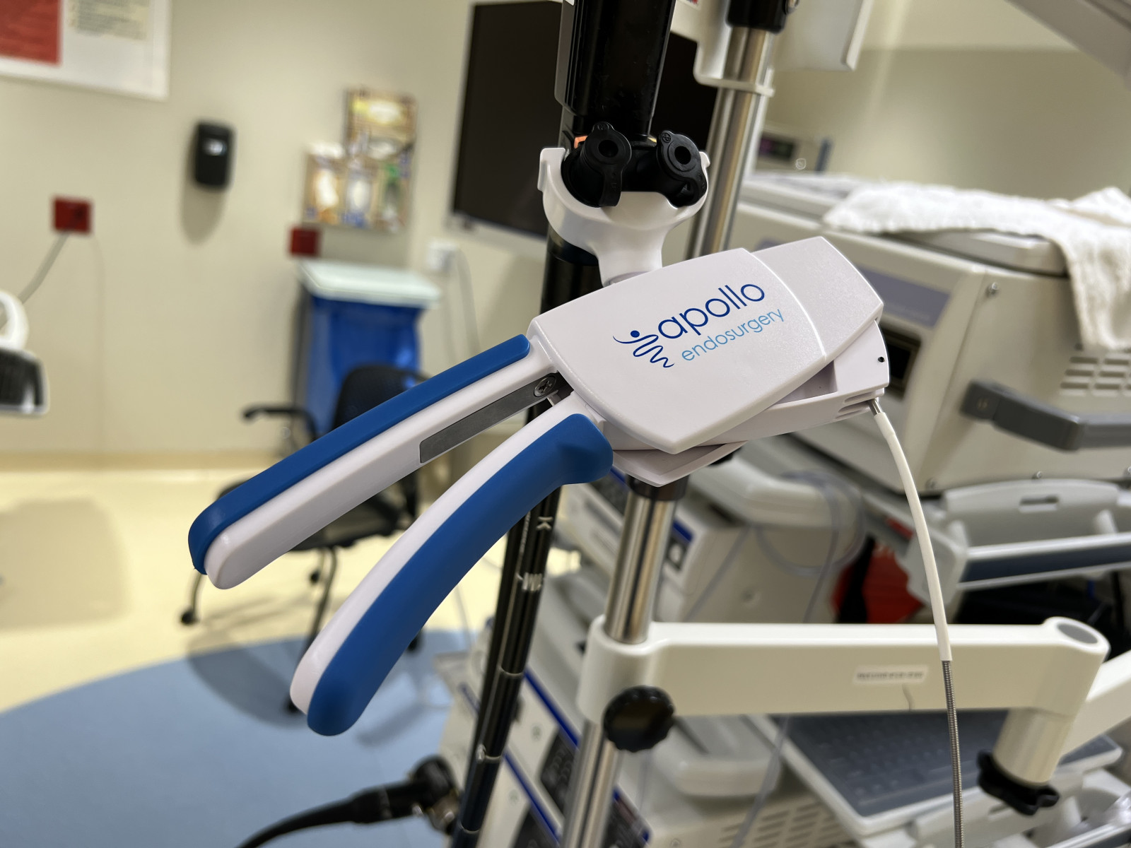 Shrink Your Stomach This New Year