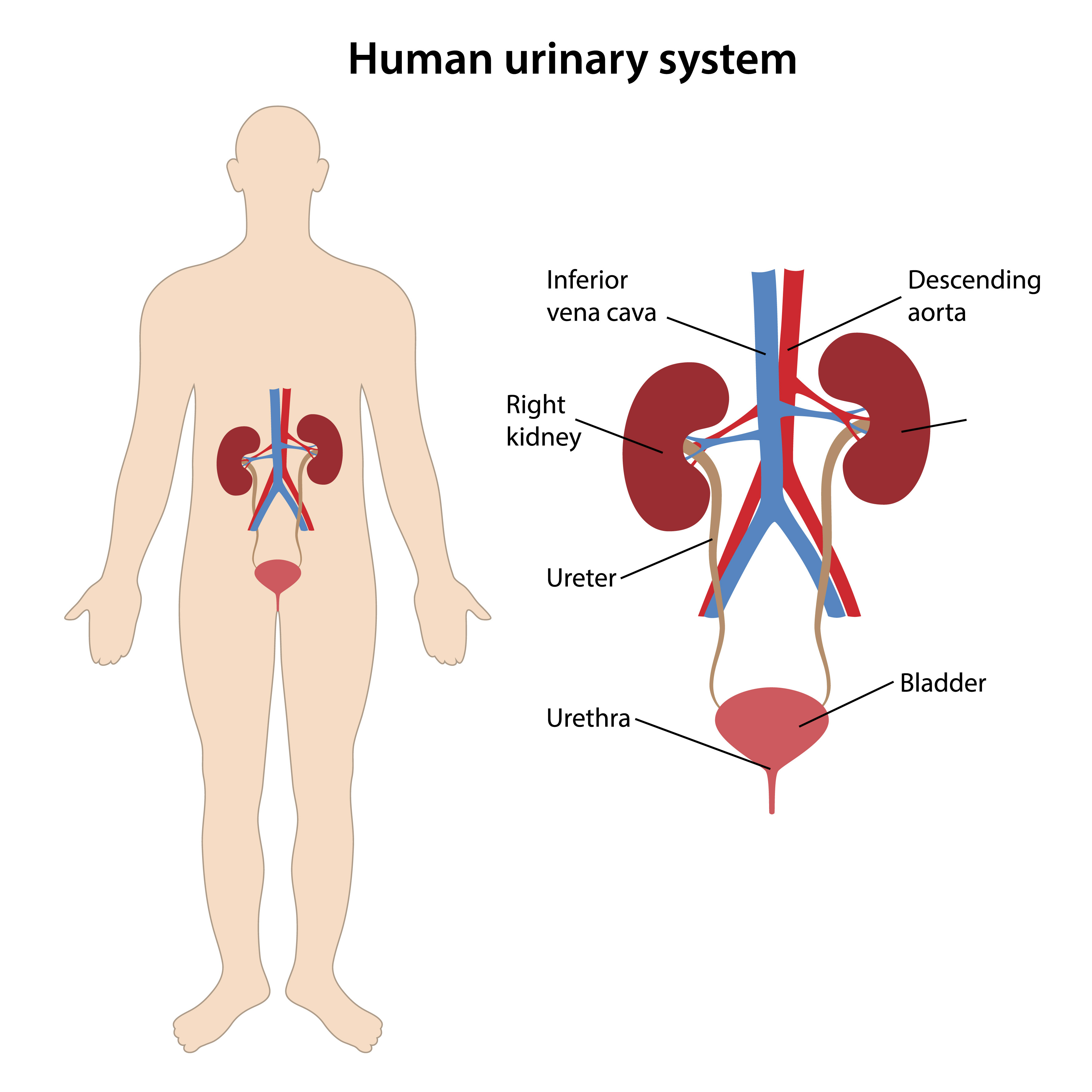 Don't roll this stone