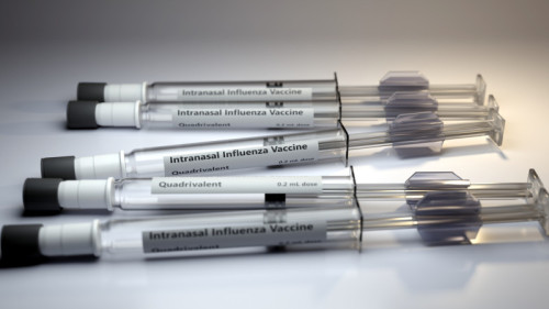 Nasal flu mist brings vaccines home