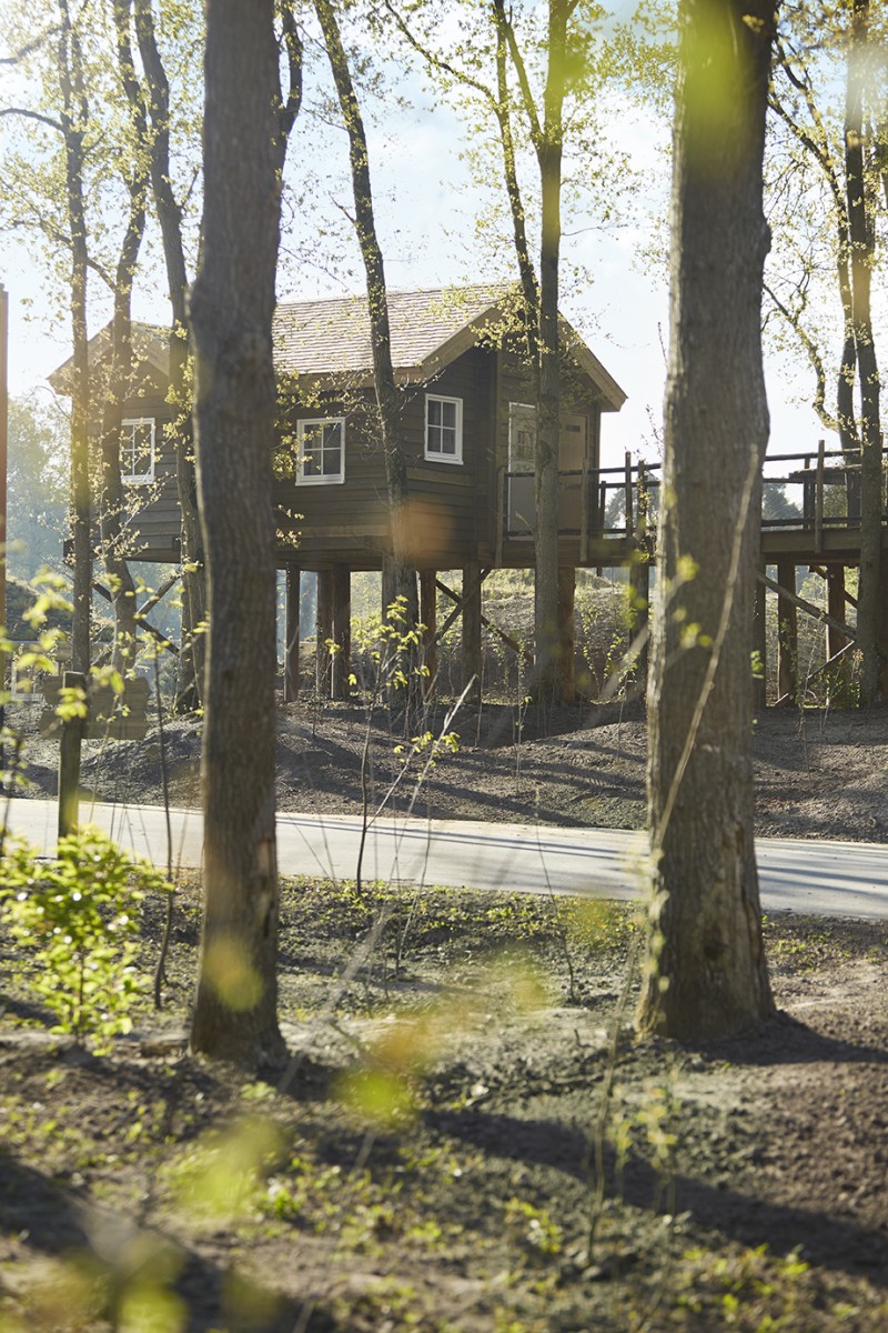 Efteling Loonsche Land Themenzimmer Baum_04