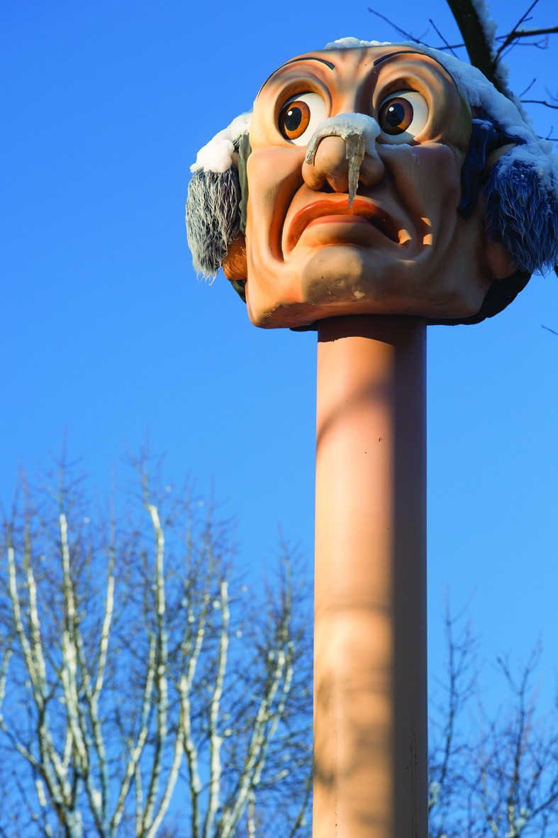 Langhals im M&auml;rchenwald