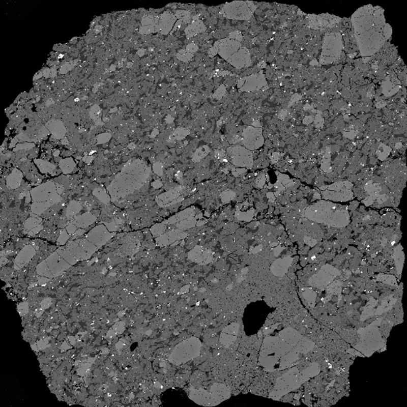 Backscattered electron image of a slice of NWA 13441