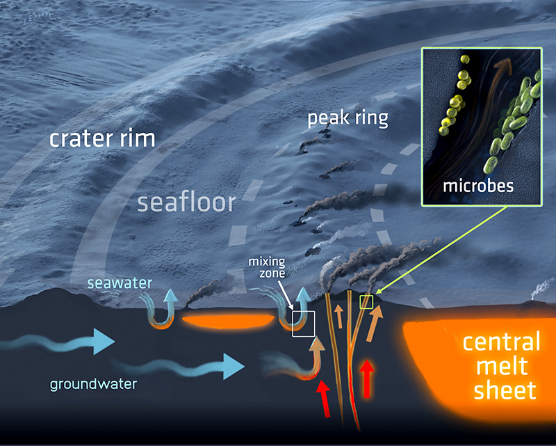 radioaktiveprojeqt neworlderキングギドラ A Subterranean Ecosystem in the Chicxulub Crater