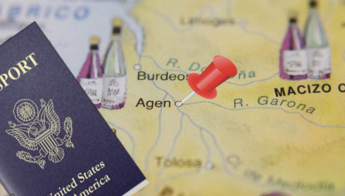 Del Mar College Baking/Pastry majors Mazzy Tagliaferro and Tina Walsh heading to France as 2026 Sister City Culinary Exchange selectees image